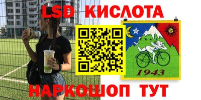 Альфа ПВП Донецк