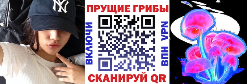 Псилоцибиновые грибы Psilocybine cubensis  Туапсе 