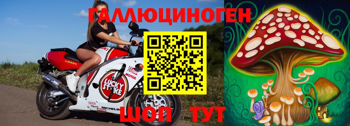 Галлюциногенные грибы GOLDEN TEACHER Туапсе