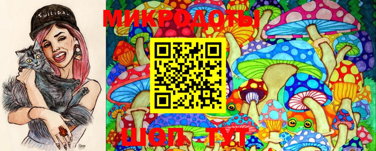 Туапсе  Псилоцибиновые грибы GOLDEN TEACHER  купить наркоту  Вход с VPN 